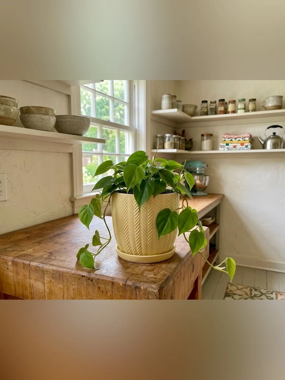 Yellow Ceramic Planter with Saucer, 5.5 Inch Plant Pot with Drainage